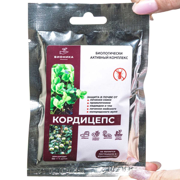 Кордицепс ТМ БИОНИКА *50 гр