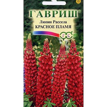 Люпин Красное пламя Гавриш Ц х10 