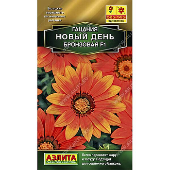 Гацания Новый день F1 бронз Аэлита Ц 