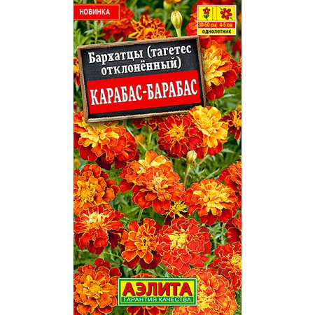 Бархатцы Карабас-Барабас Аэлита Ц 