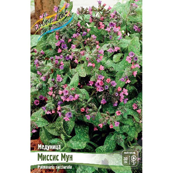 Медуница Миссис Мун 2/3 n 1 шт