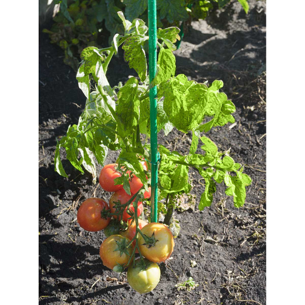 Колышки 0,5м труба 10мм САДОВИТА (комплект 10шт)