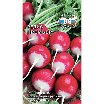 Редис Премьер Седек Ц