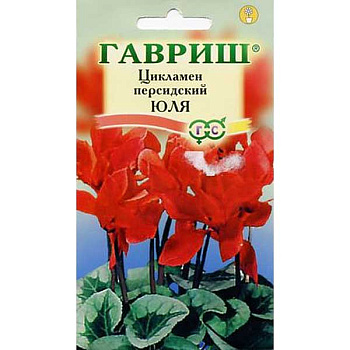 КОМ Цикламен Юля Гавриш Ц 