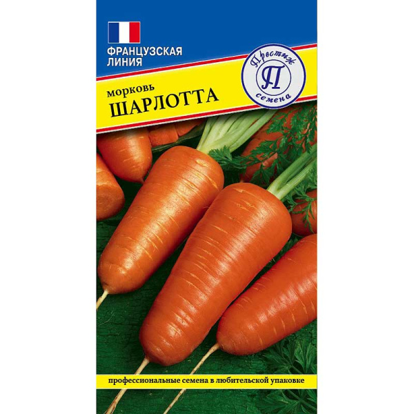 Морковь Шарлотта Престиж Цх10