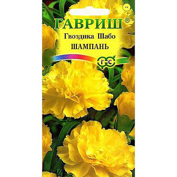 Гвоздика Шабо Шампань Гавриш Ц 