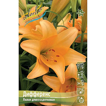 Лилия Дифференс 12/14 25 шт Биг-Пак 10310