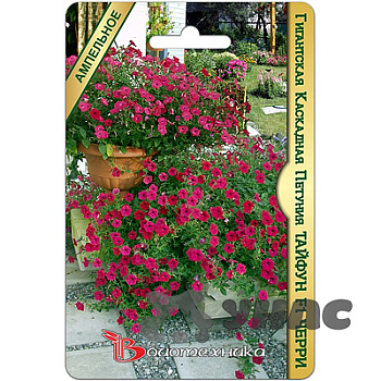 Петуния Тайфун Чери Биотехника Ц 