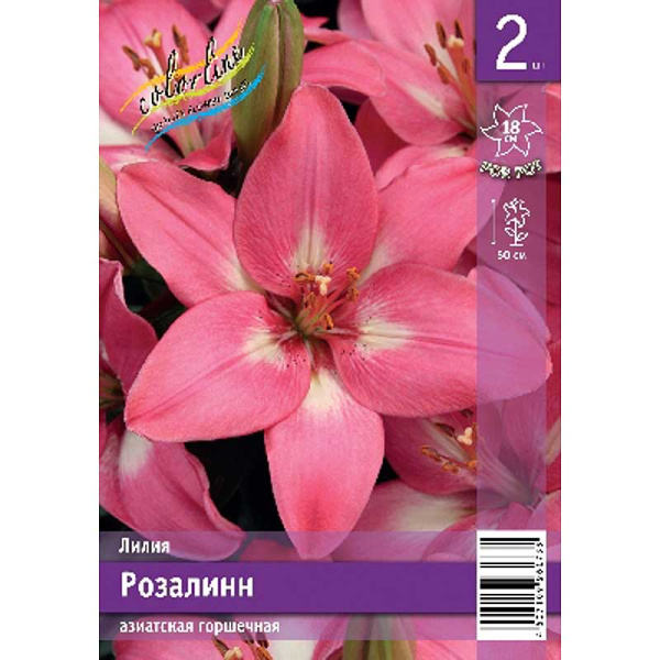 Лилия Розалинн 10/12 2 Эконом шт 