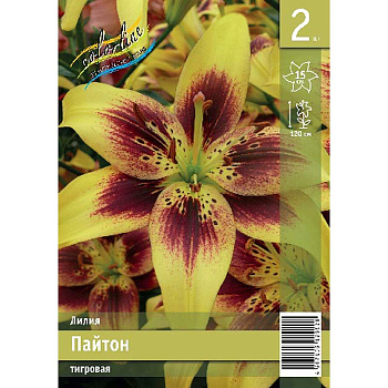 Лилия Пайтон 12/14 2 Эконом шт