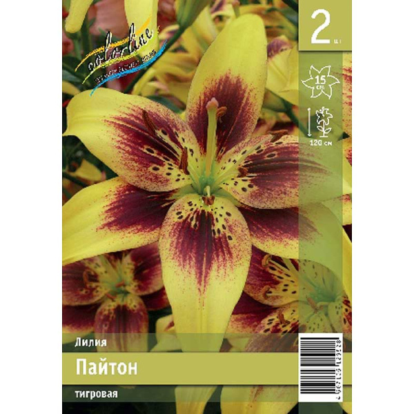 Лилия Пайтон 12/14 2 Эконом шт