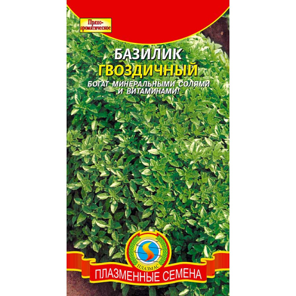Базилик Гвоздичный Плазма Ц