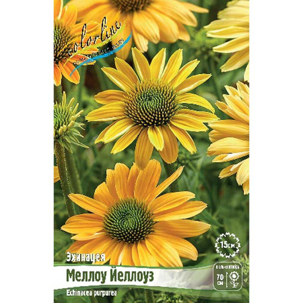 12846 Биг-Пак Эхинацея Меллоу Йеллоуз I 25 шт 
