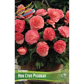 Бегония Нон Стоп Розовая 5/6 50 шт Шоу-Бокс 8852