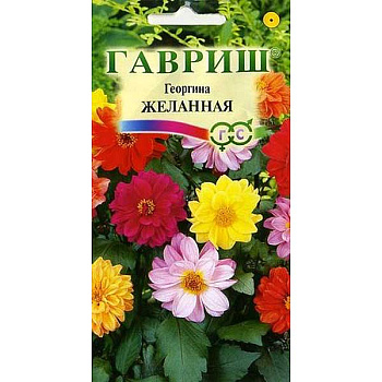 Георгин Желанная Гавриш Ц 