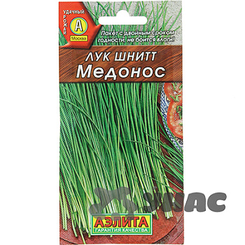 Лук Шнитт Медонос Аэлита Ц