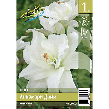 Лилия Аннамари Дрим 12/14 1 Эконом шт 