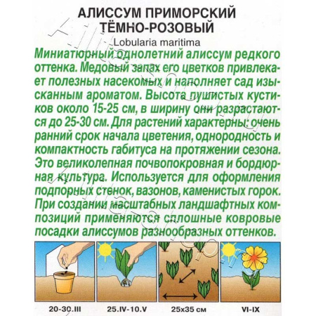 Алиссум приморский Тёмно-розовый Аэлита Цх10 