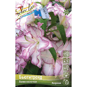 Биг-Пак Лилия Бьютитренд 14/16 25 шт