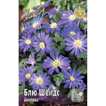 Анемона Блю Шейдс 5/6 10 шт