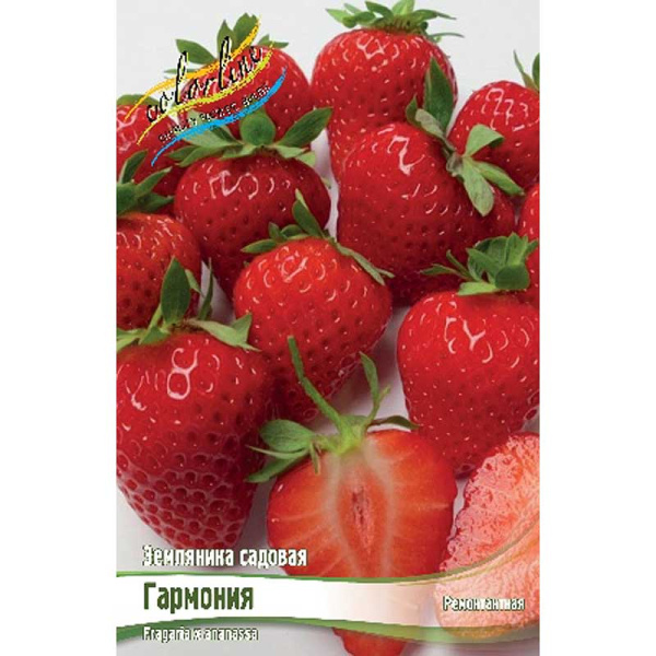 Земляника Садовая Гармония A 5 шт 