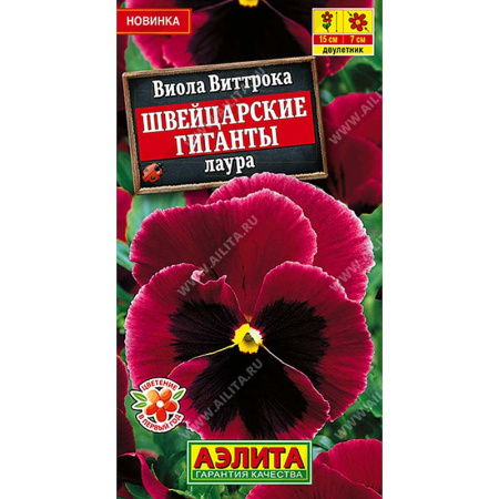 Виола Швейцарские гиганты лаура Аэлита Цх10 