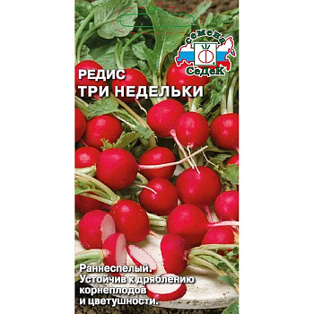 Редис Три Недельки Седек Ц