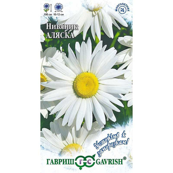 Нивяник Аляска Гавриш Ц 