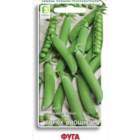 Горох Фуга Поиск Ц