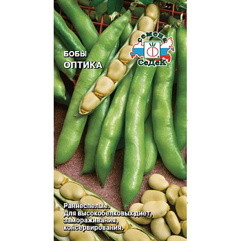 Бобы Оптика Седек Ц