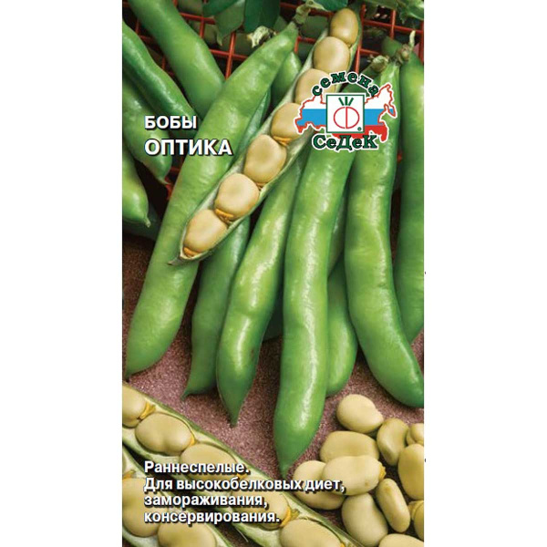 Бобы Оптика Седек Ц