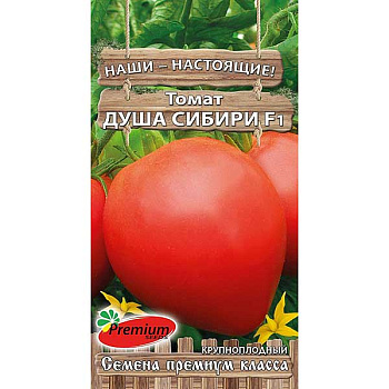 Семена Томат Душа Сибири F1 Премиум Сидс