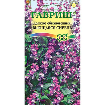 Гиацинтовые бобы Вьющаяся сирень Гавриш Ц 