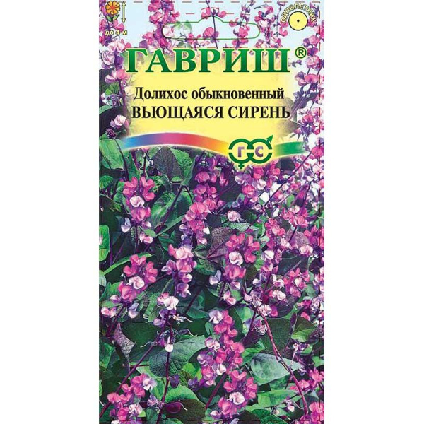 Гиацинтовые бобы Вьющаяся сирень Гавриш Ц 