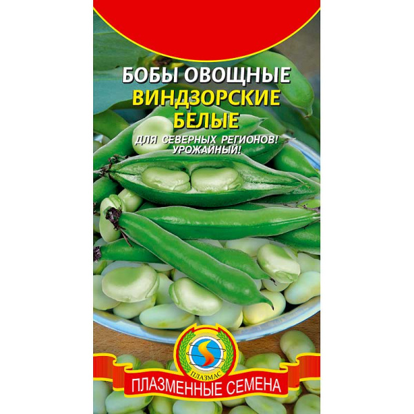 Бобы Виндзорские белые  Плазма Ц