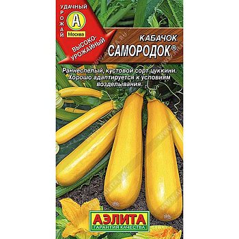 Кабачок Самородок Аэлита Ц