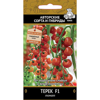 Семена Томат Терек Поиск