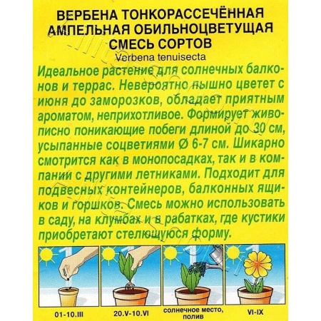Вербена Ампельная обильноцветущая смесь Аэлита 