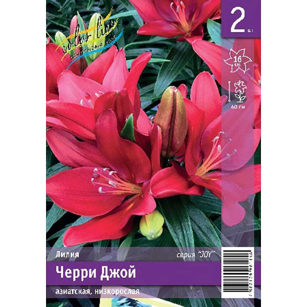 Лилия Черри Джой 10/12 2 Эконом шт