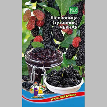 Шелковица (тутовник) Чёрная Марс Ц