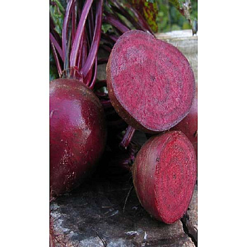 Семена Свекла Герман Марс Ц