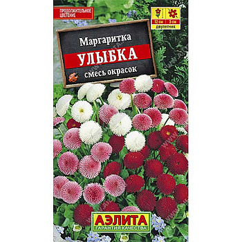 Маргаритка Улыбка махр помпонная Аэлита Ц 