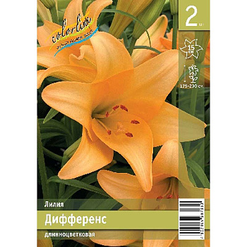 Лилия Дифференс 12/14 2 Эконом шт 