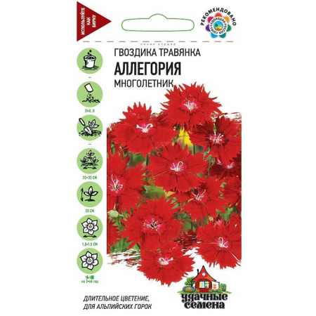 Гвоздика травянка Аллегория Удач сем Гавриш Ц 