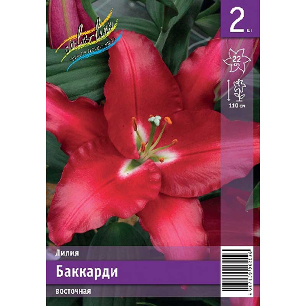 Лилия Баккарди 12/14 2 Эконом шт 