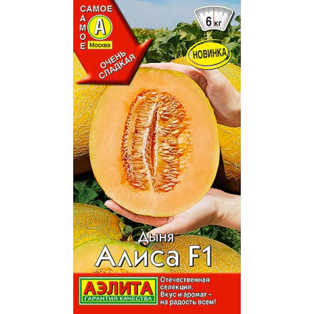 Дыня Алиса Аэлита Ц