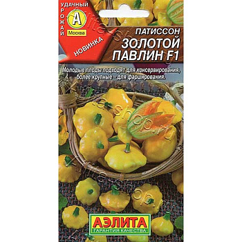 Патиссон Золотой павлин Аэлита Цх10