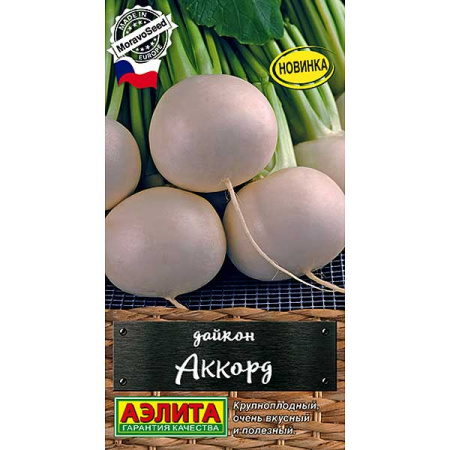 Дайкон Аккорд Аэлита Ц