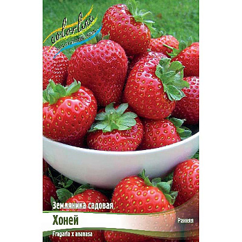 8217 Биг-Пак Земляника Садовая Хоней (Ханиуан) A 100 шт