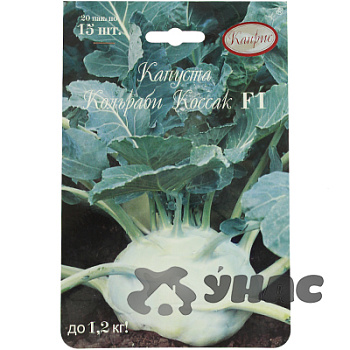 Капуста кольраби Коссак (Нидерланды) Каприс